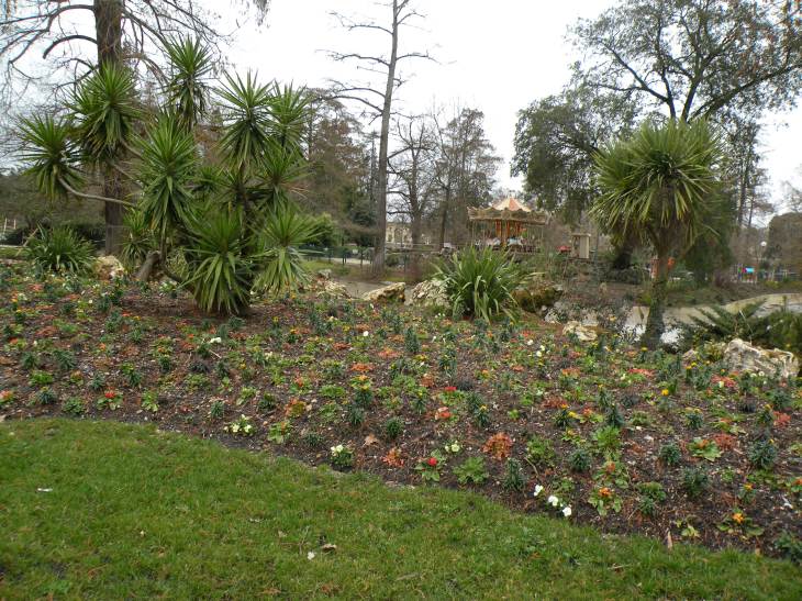  parterre de fleurs et plantations